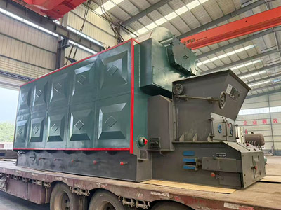 DZL Single-Drum Chain Grate Steam Boiler