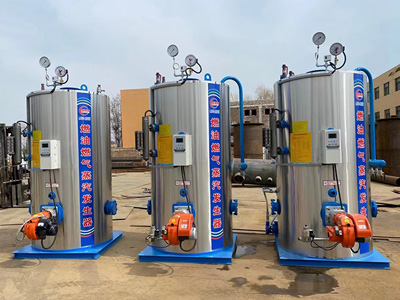 Oil/Gas Steam Generator