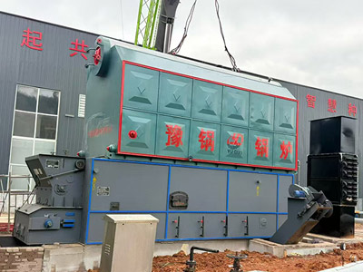 Rice Husk Fired Steam Boiler