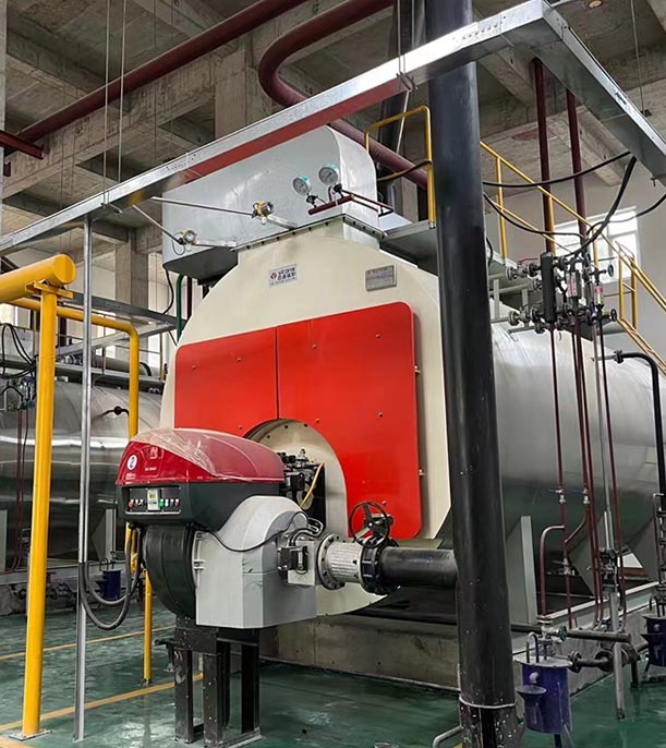 Saudi Arabia, Pharmaceutical Group, 2 Ton Gas Boiler